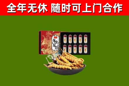 怀柔区烟酒回收冬虫夏草礼盒.jpg