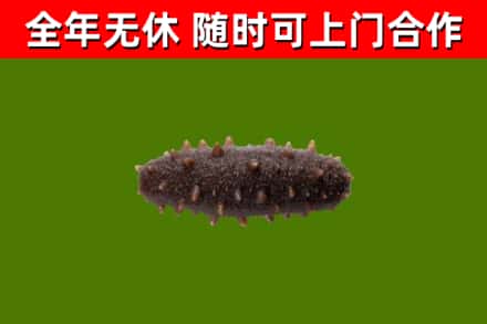怀柔区烟酒回收干海参.jpg